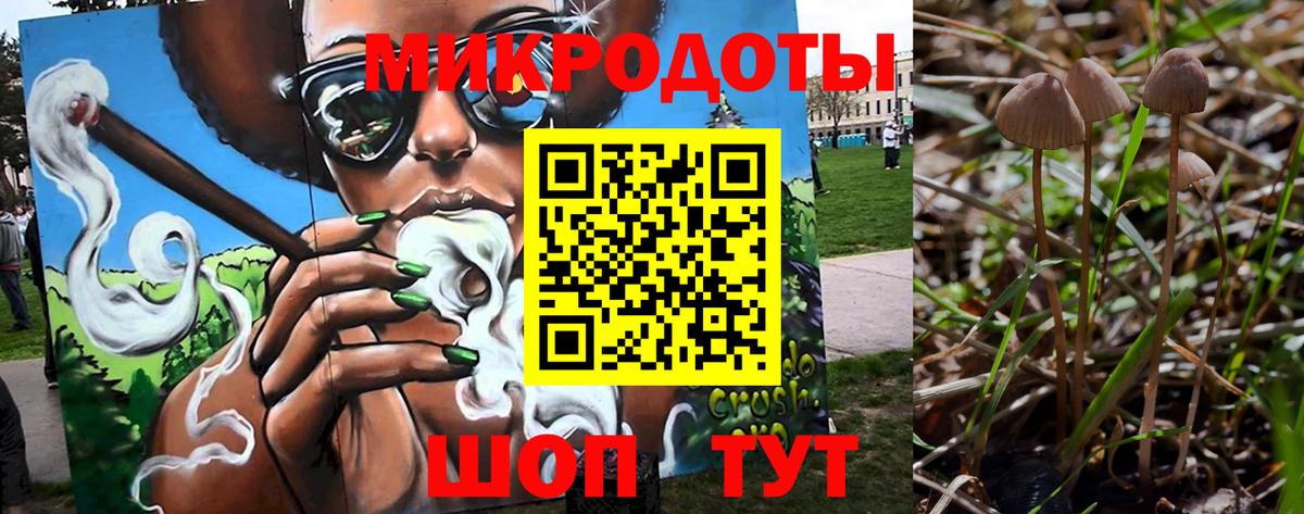 Гусиноозёрск  Псилоцибиновые грибы Psilocybe  дарнет шоп  Вход с VPN 