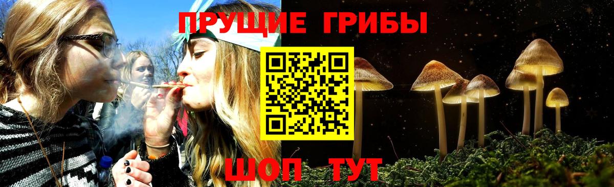 Псилоцибиновые грибы прущие грибы Гусиноозёрск